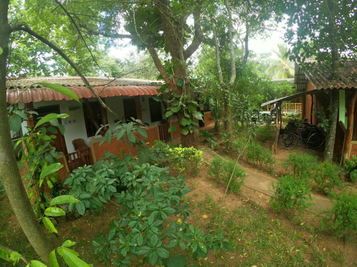 New Sisira Natural Lodge Sigiriya Exterior photo